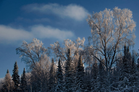 俄罗斯。 西伯利亚西部的南部。 阳光明媚的冬日在肖里亚山。