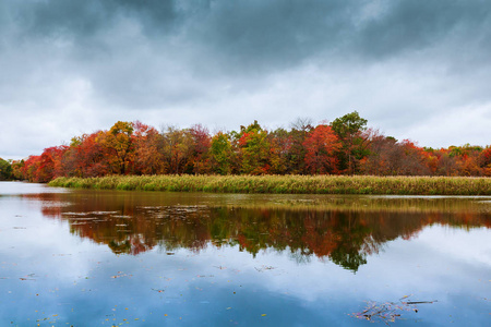 湖上五颜六色的秋树，秋天的森林，河水