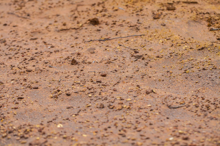 石质干燥的沙漠土壤。 背景