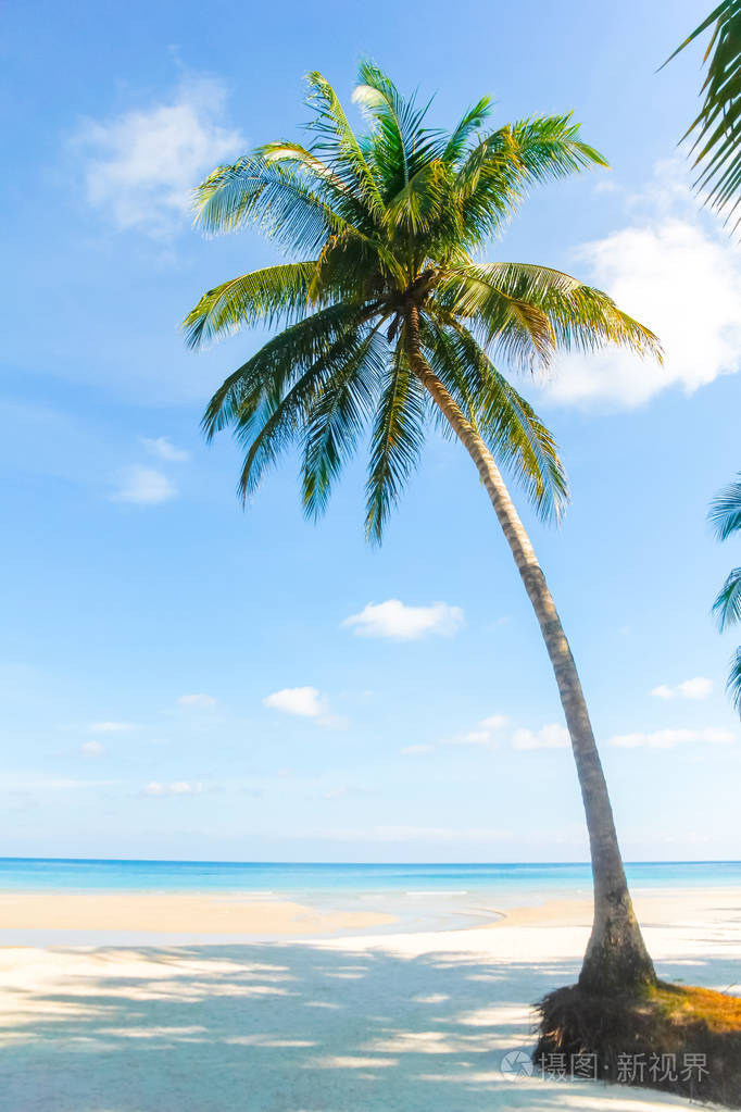 日出时有棕榈树的美丽热带海滩的海景. 夏季背景海景海滩
