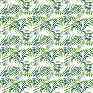 明亮美丽的绿色草本热带奇妙夏威夷花卉夏季图案的热带棕榈叶水彩手插图。 完美的纺织壁纸背景