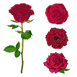 干玫瑰花和吉他图片