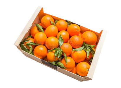 白底瓦伦西亚橙木盒