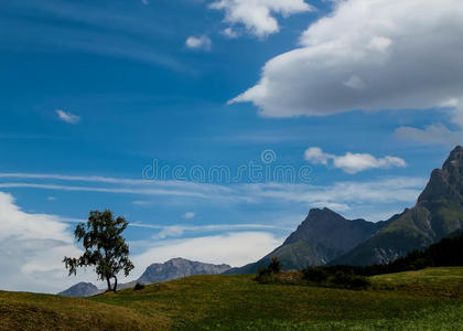 阿尔卑斯山