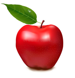 作物 照片 自然 农业 市场 苹果 插图 健康 颜色 公共关系