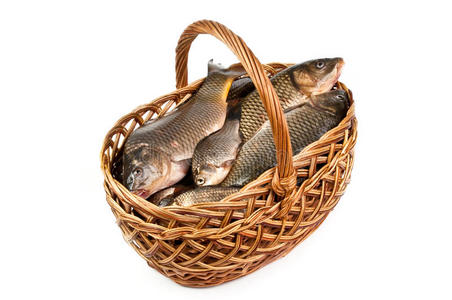 鲜鱼口篮子里的鲜鱼照片