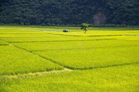 台湾乡村风光