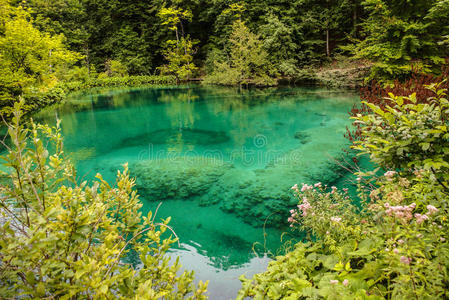 克罗地亚的普利特维兹湖自然旅游背景
