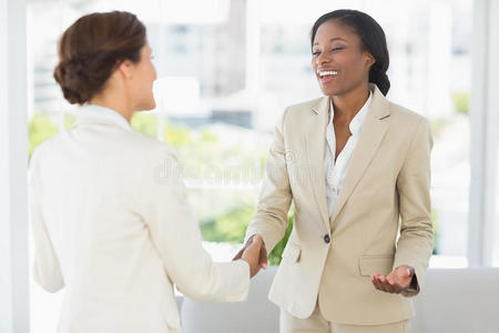 快乐的女企业家见面握手