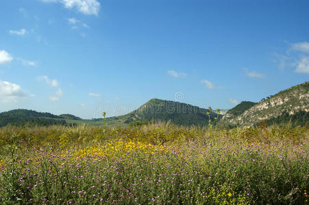 自由 意大利 全景图 夏天 娱乐 岩石 农场 国家 风景