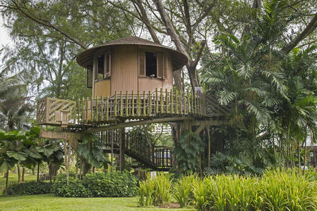 树屋图片