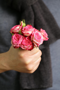 一束粉红色的花在男性手中图片