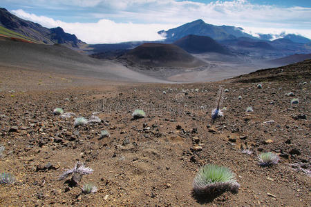 毛伊岛黑拉卡拉火山口