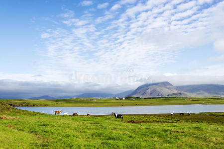 山峦映衬下的美丽湖泊，冰岛，夏日好
