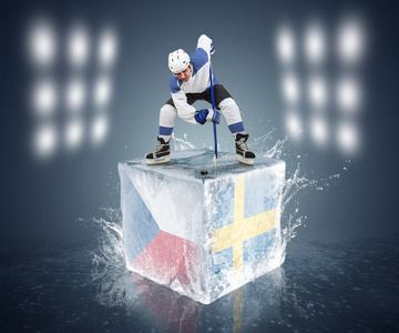 瑞典捷克锦标赛。准备在冰块上与玩家对峙。