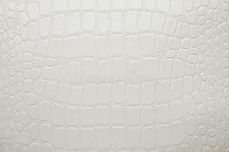 鳄鱼纹理鳄鱼皮白色人造纹理照片