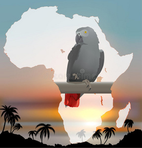 背景为灰色鹦鹉的非洲地图