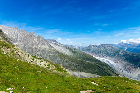 阿尔卑斯山的绿色景观