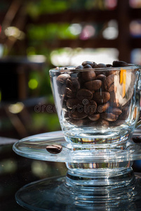 咖啡豆短杯