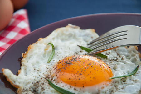 鸡蛋早餐的光明理念