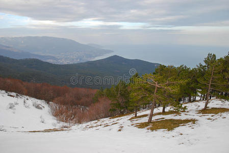 春季景观