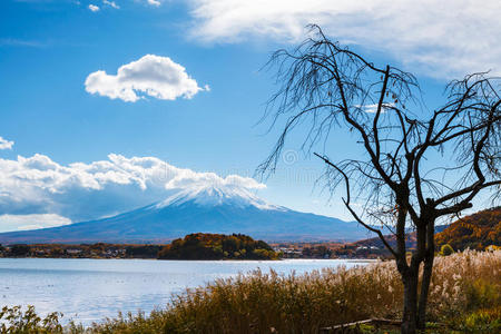 富士山湖景图片