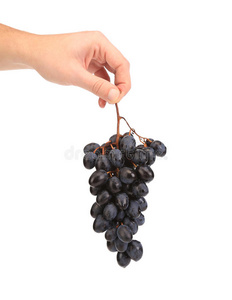 手里拿着黑熟葡萄。