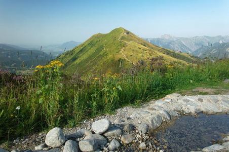 山景