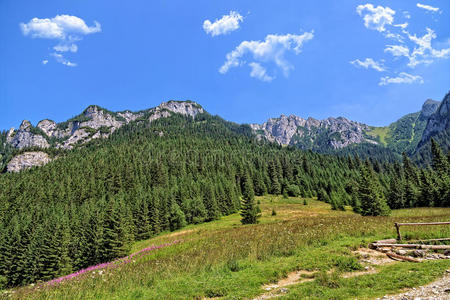 夏季山地景观