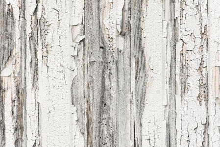 粗糙的白色木质墙壁图片