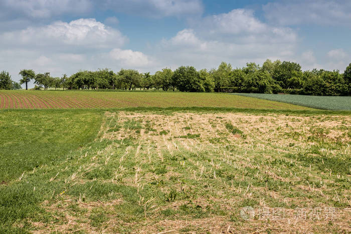 有森林田野和草地的德国农村