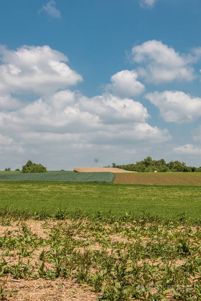 有森林田野和草地的德国农村