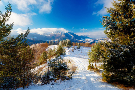 美丽的高山雪山景观和森林小路。美丽的阳光明媚的日子在山上