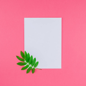 创意平面布局顶部视图白色字母模拟与新鲜绿色罗旺树叶在明亮的粉红色方形背景与复制空间在最小的二通流行艺术风格模板的文本。