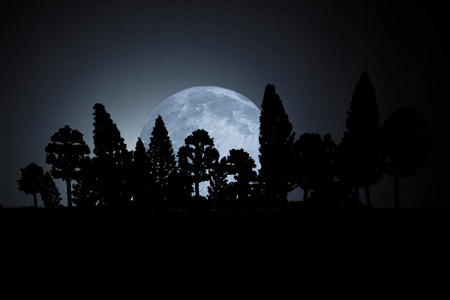 死树森林里的旧神秘建筑. 夜晚有月亮的树. 超现实的灯光.