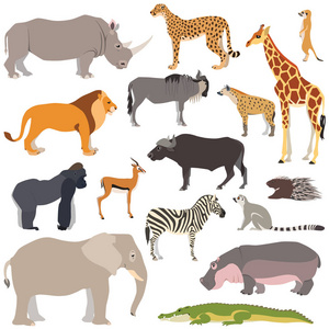 白色背景上孤立的可爱非洲动物的矢量插图，如大象斑马长颈鹿河马大猩猩...