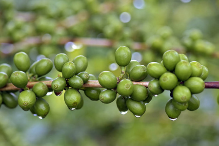 主要属性图片-主要属性素材-主要属性插画-摄图新视界