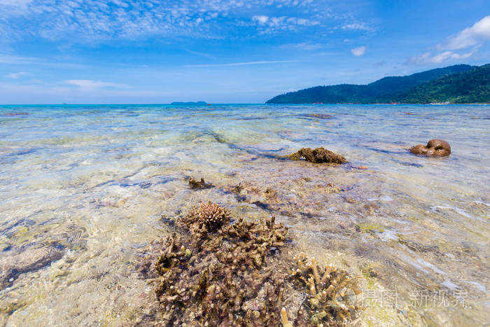马来西亚热带蒂曼岛珊瑚礁景观美丽的东南亚海景在tekek海滩