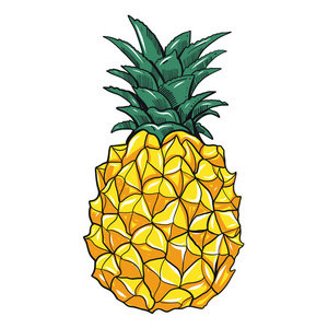 矢量手绘菠萝插图.异国热带水果.素描.流行艺术.