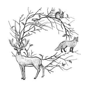 黑白背景. 森林动物,鹿,狐狸,兔子,松鼠和鸟. 野生动物的手绘.