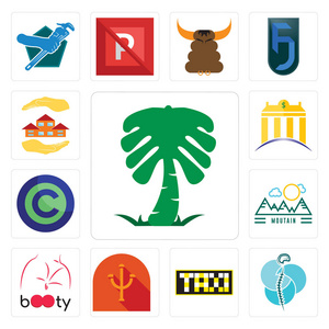 一套13个简单的可编辑图标，如沙特棕榈神经外科，Taksi，ps i，booty，moutain，版权免费，Banque，Rea