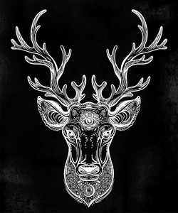 华丽的鹿头与美丽的鹿角, 装饰图案和神圣的眼睛照片