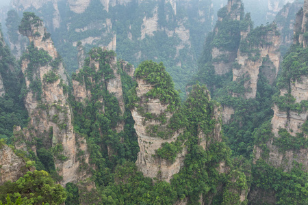 张家界森林公园。巨大的柱山从峡谷中升起。中国湖南省。