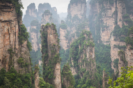 张家界森林公园。 巨大的柱山从峡谷中升起。 湖南省中国。