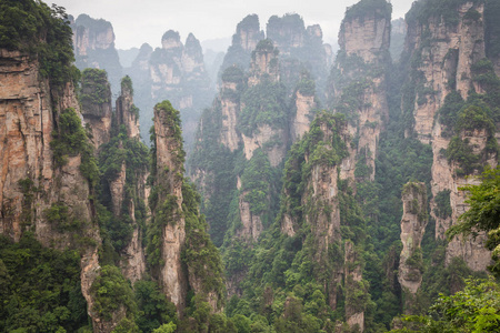 张家界森林公园。 巨大的柱山从峡谷中升起。 湖南省中国。