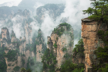 张家界森林公园。 巨大的柱山从峡谷中升起。 湖南省中国。