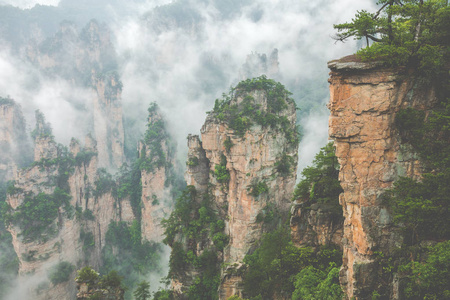 张家界森林公园。 巨大的柱山从峡谷中升起。 湖南省中国。
