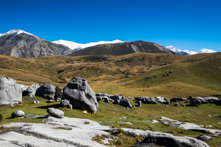 以城堡山为背景的城堡山周围风景，位于新西兰南岛