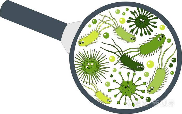 放大镜中的细菌微生物细菌和细菌多彩的集微生物细菌病毒真菌原生动物