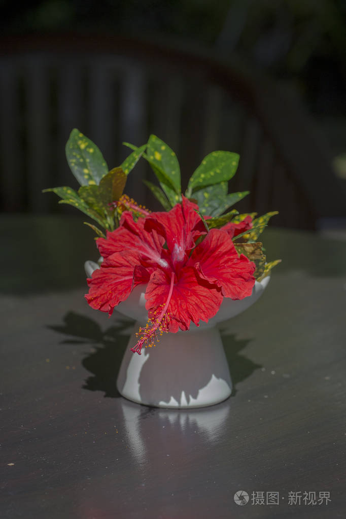 白色陶瓷花瓶里的红色热带花束矗立在木桌上印度尼西亚巴厘岛岛近点